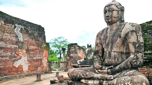 Sigiriya till Pasikudah Privat överföring med Polonnaruwa Ancient City Tour