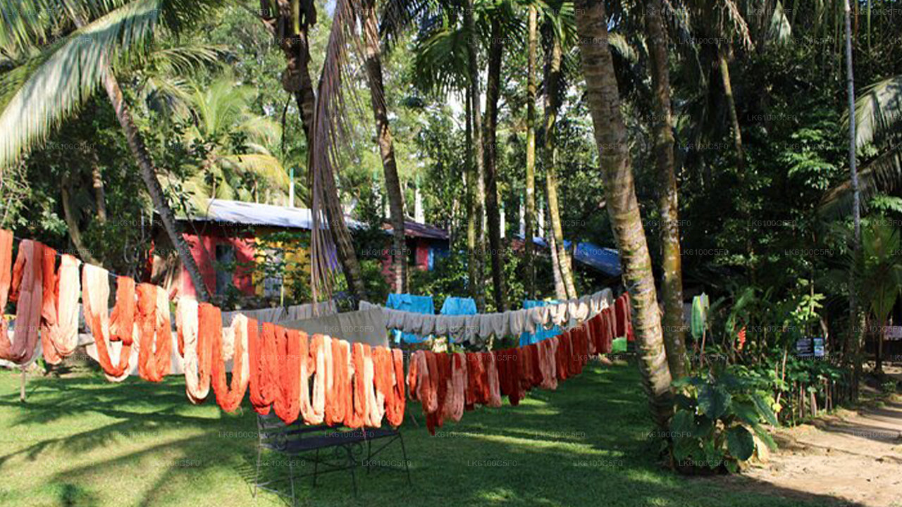 Utforska Galles gömda pärlor och ät middag med lokalbefolkningen