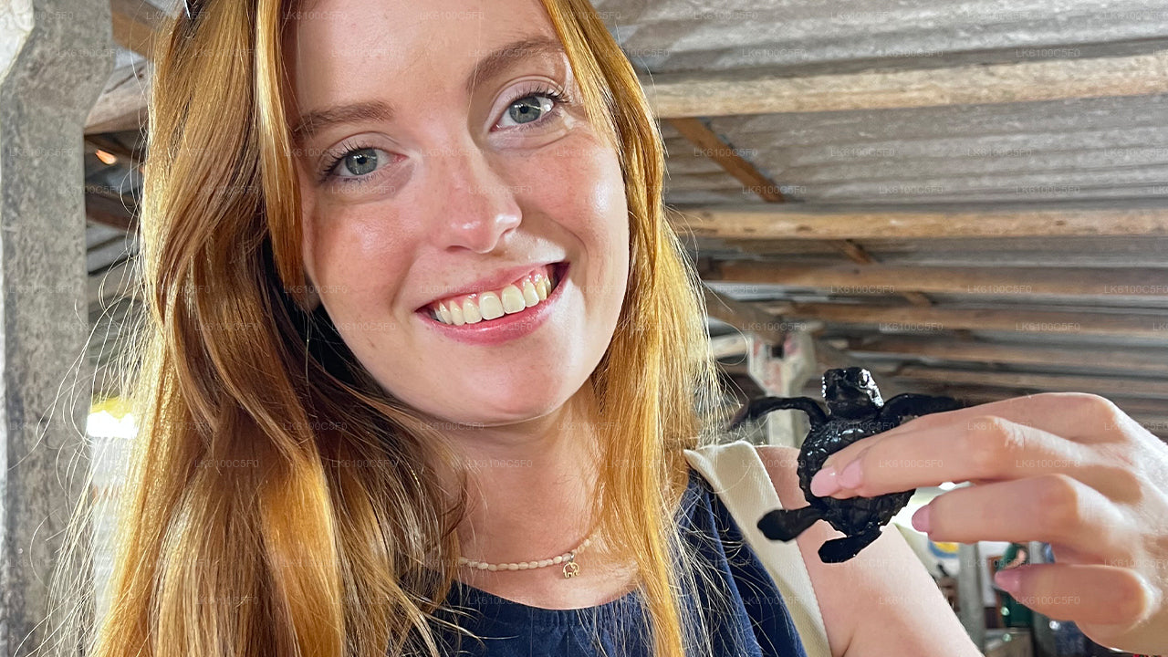 Utforska Galles gömda pärlor och ät middag med lokalbefolkningen