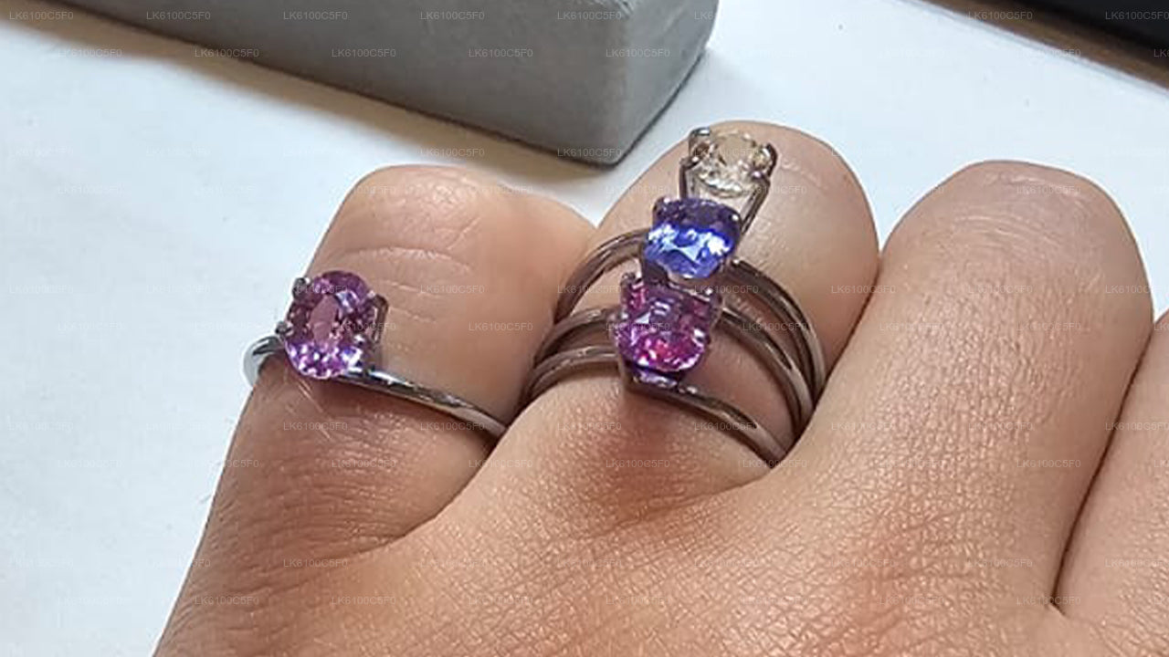 Utforska Galles gömda pärlor och ät middag med lokalbefolkningen