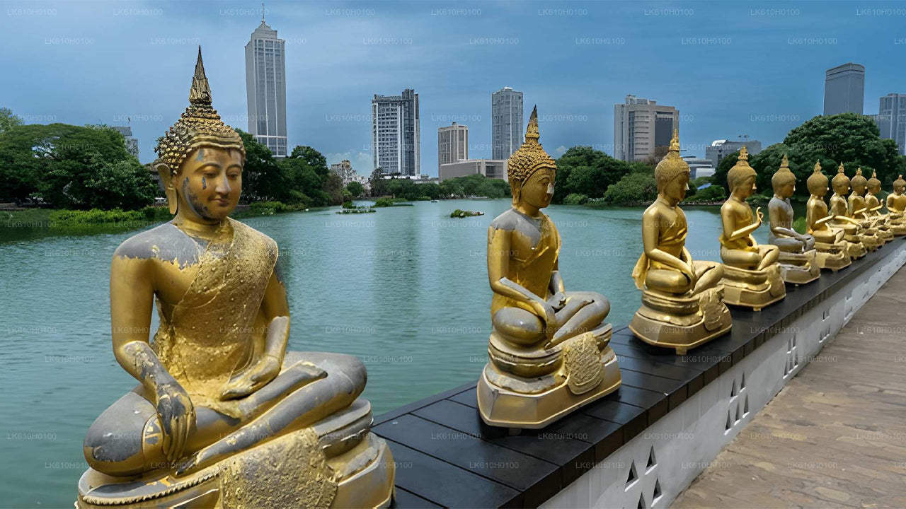 Colombo City Tour från Ahungalla