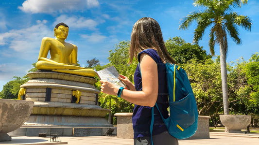Colombo City Tour från Colombo hamn