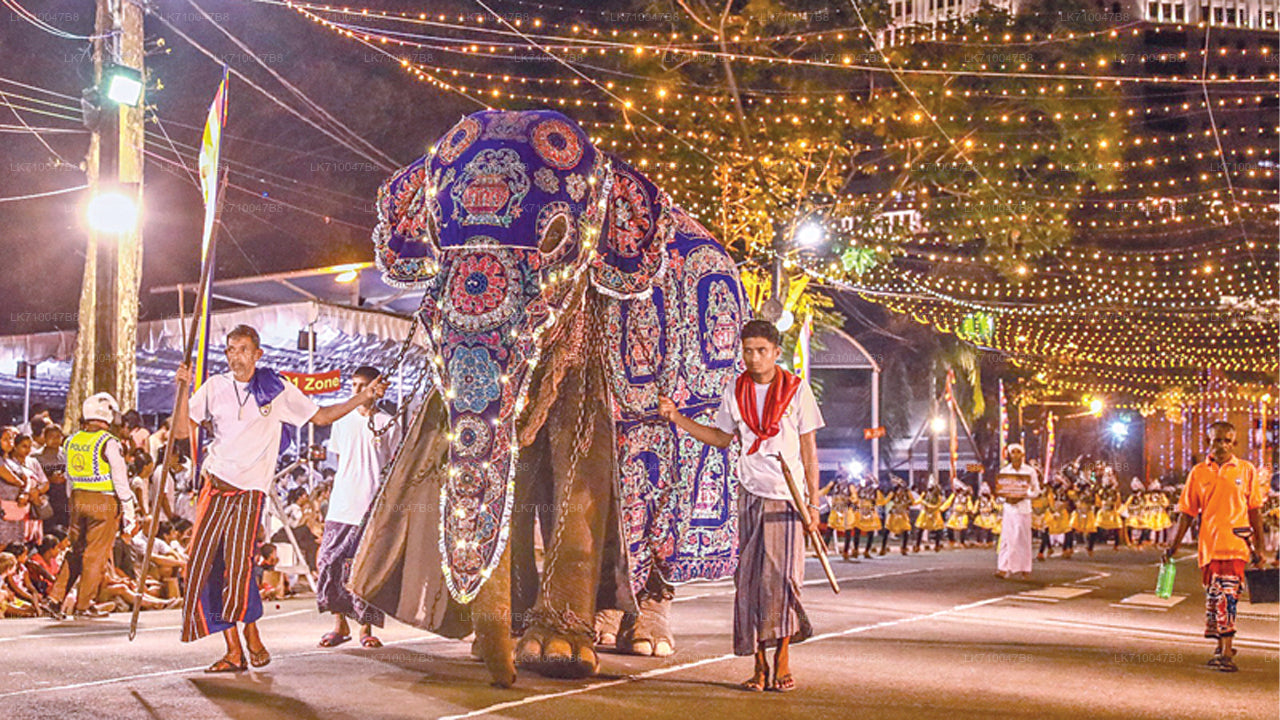 Gangaramaya Nawam Maha Perahera