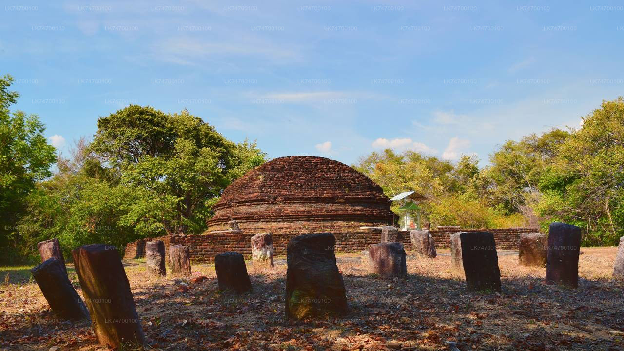 Vandra till Danigala Circular Rock från Aaralaganwila