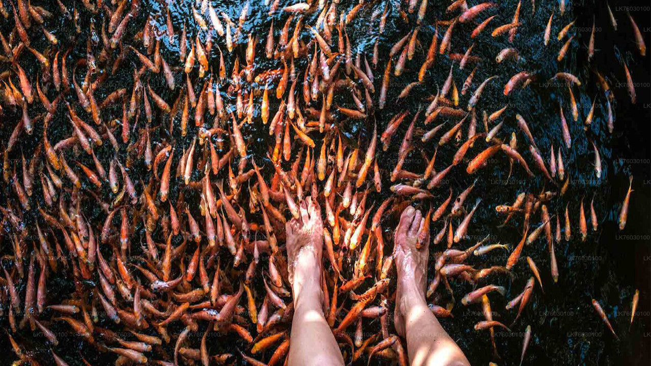 Båtsafari på Madu-floden