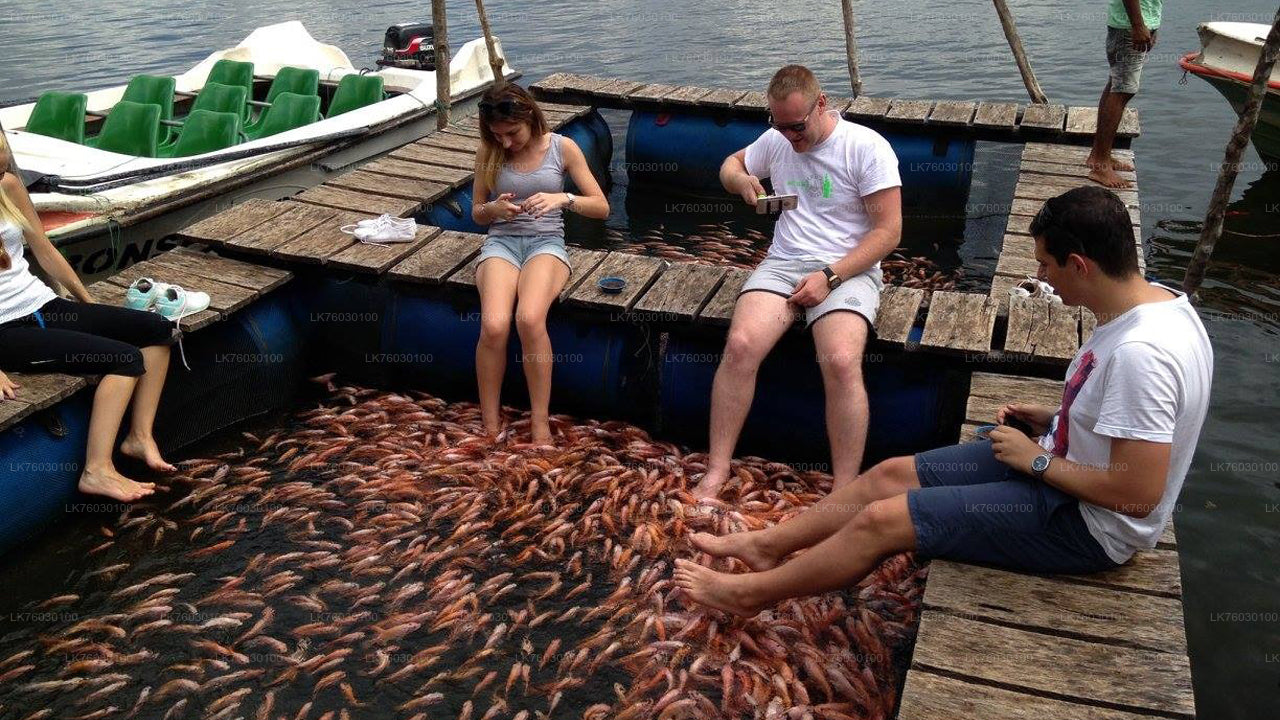 Båtsafari på Madu-floden