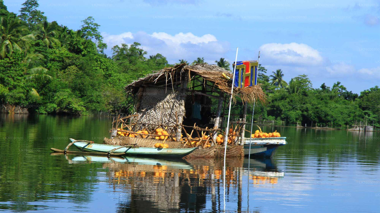 Båtsafari på Madu-floden