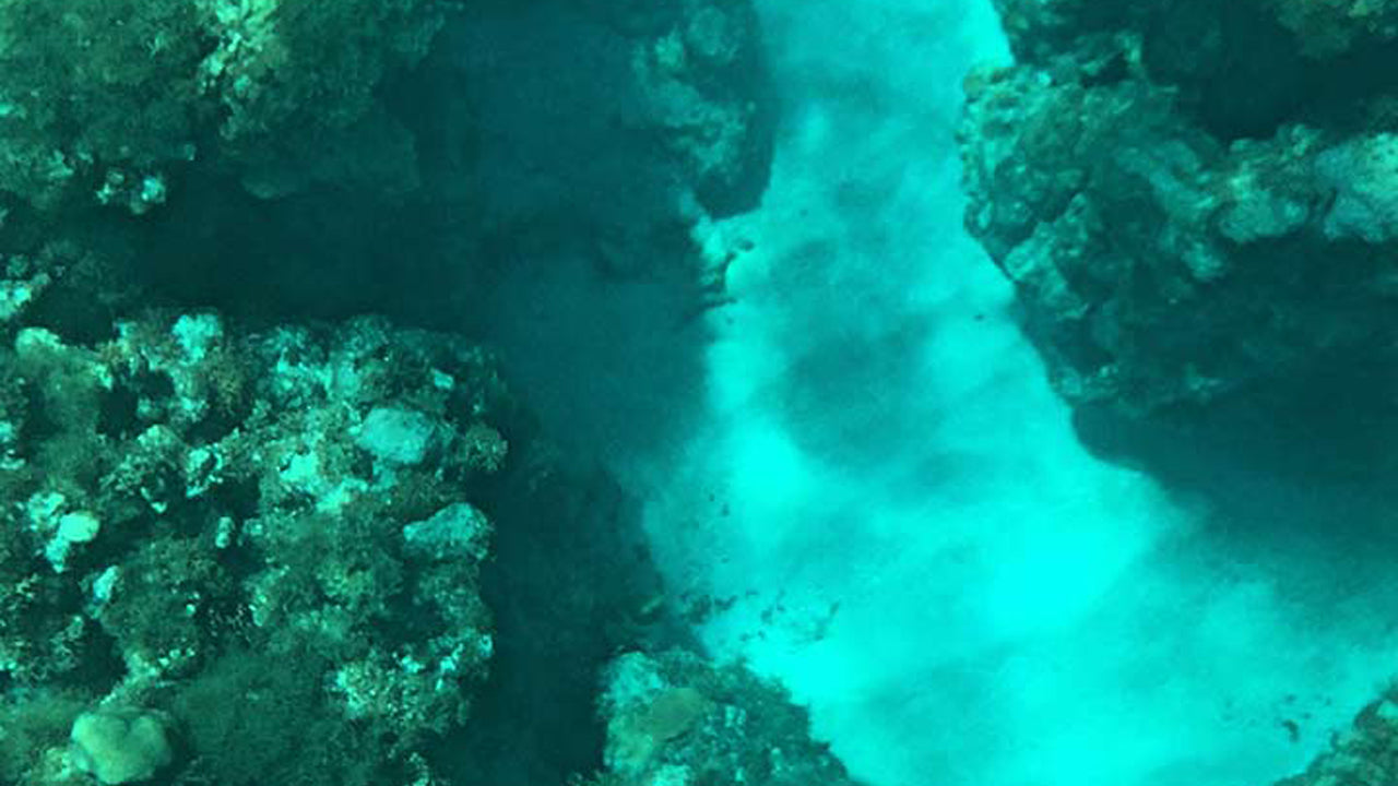 Glasbottenbåtstur från Hikkaduwa