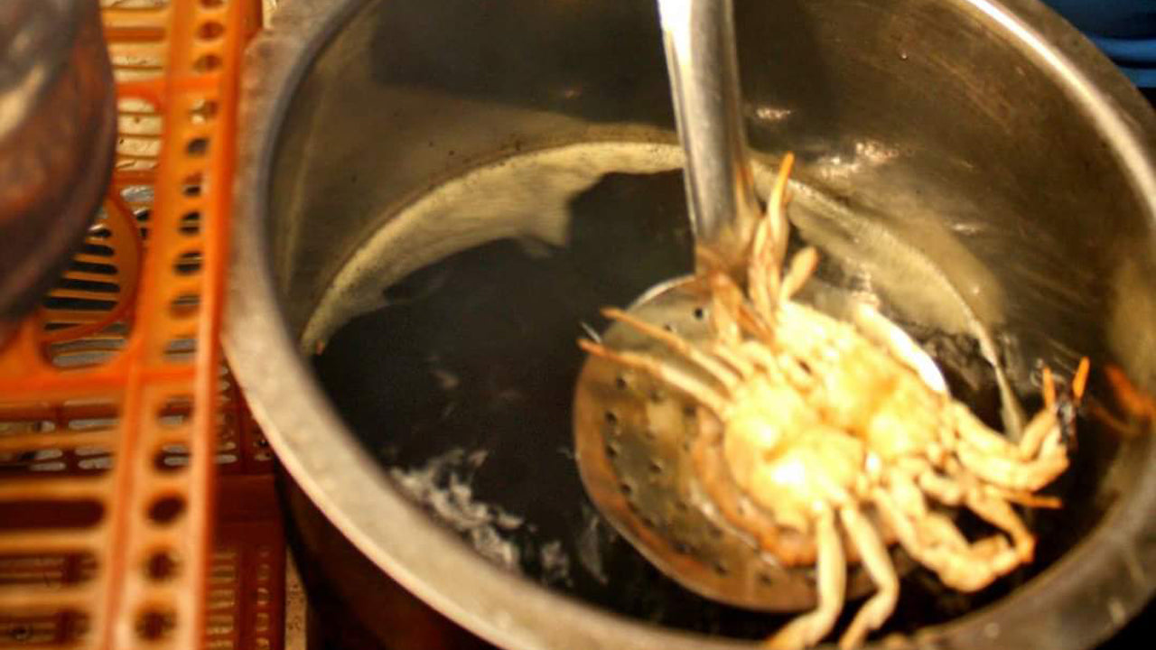 Streetfood-cykeltur från Colombo