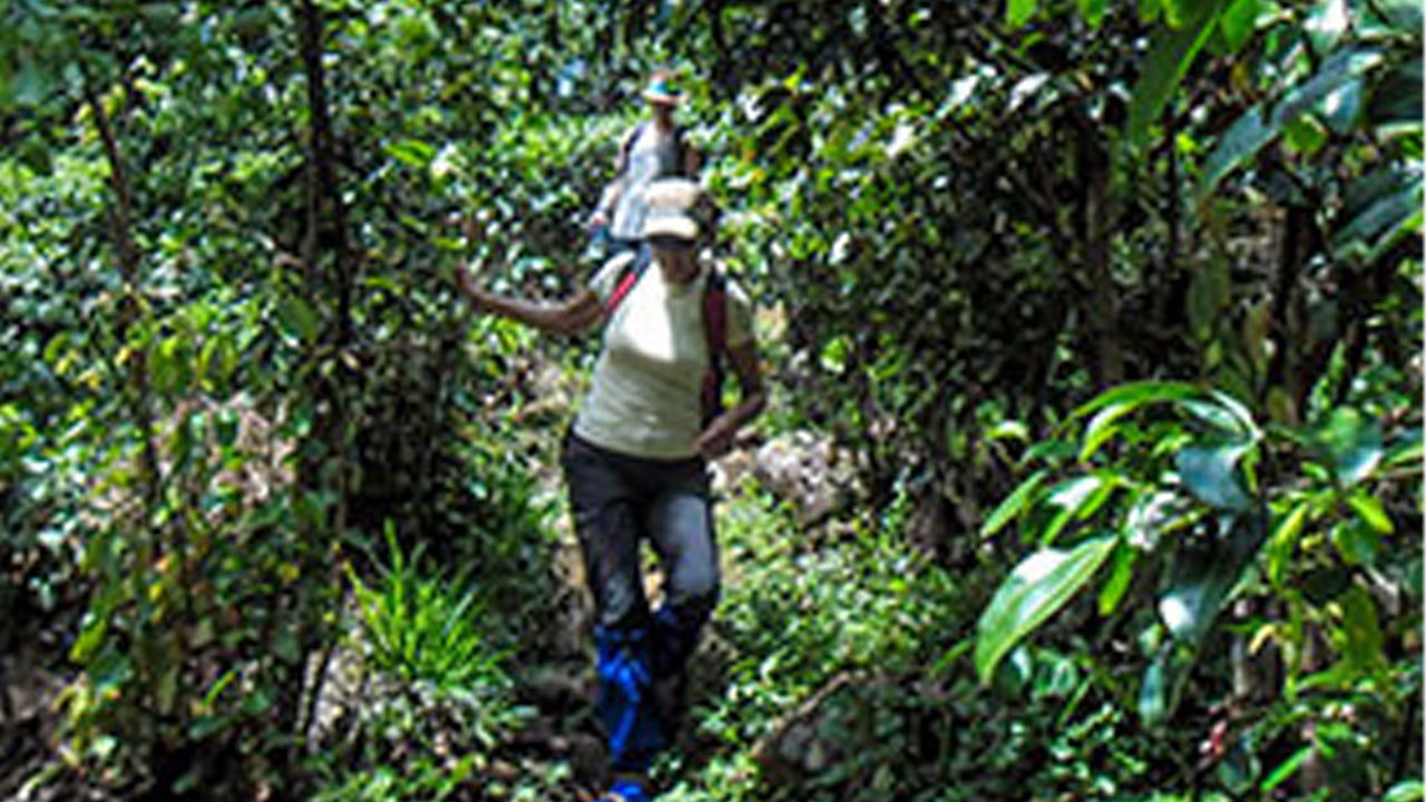 MTB Hantana Ride from Kandy