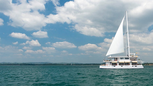 6-nätters kryssningsupplevelse från Mirissa med Ocean Diamond