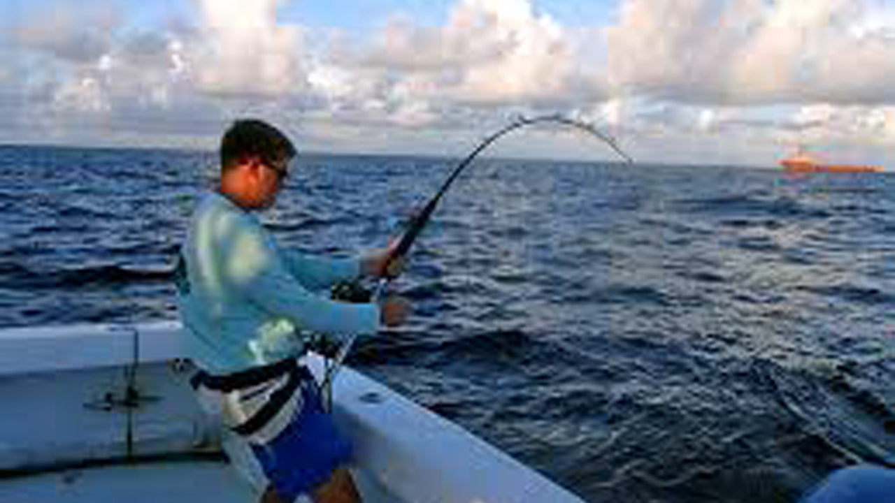 Fiskekryssning över natten från Mirissa