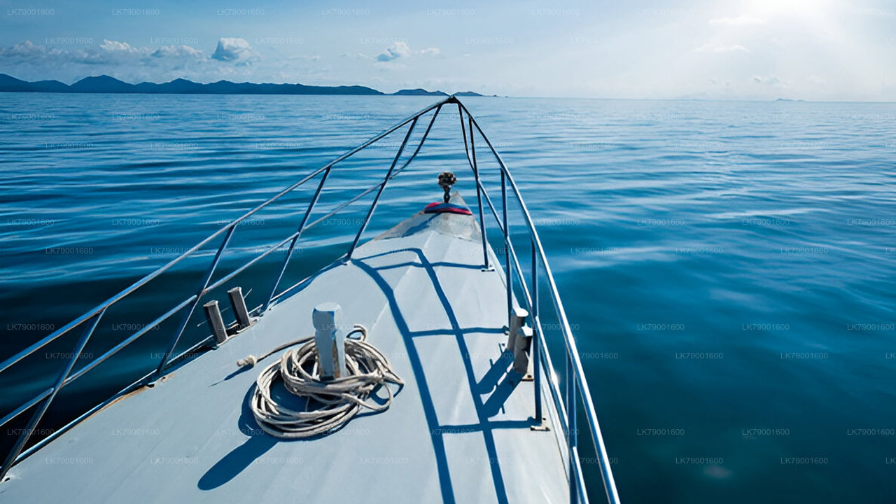 Overnight Sailing Escape from Colombo