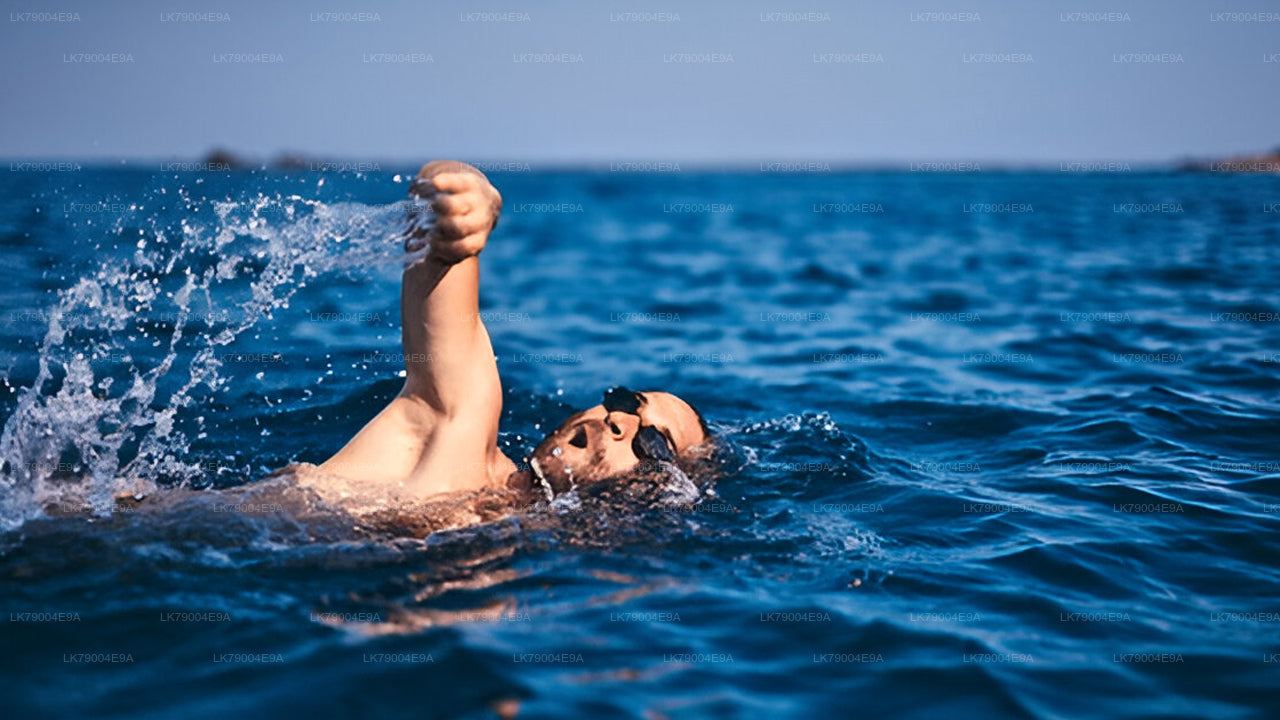 3 timmars delad solnedgångskryssning från Galle