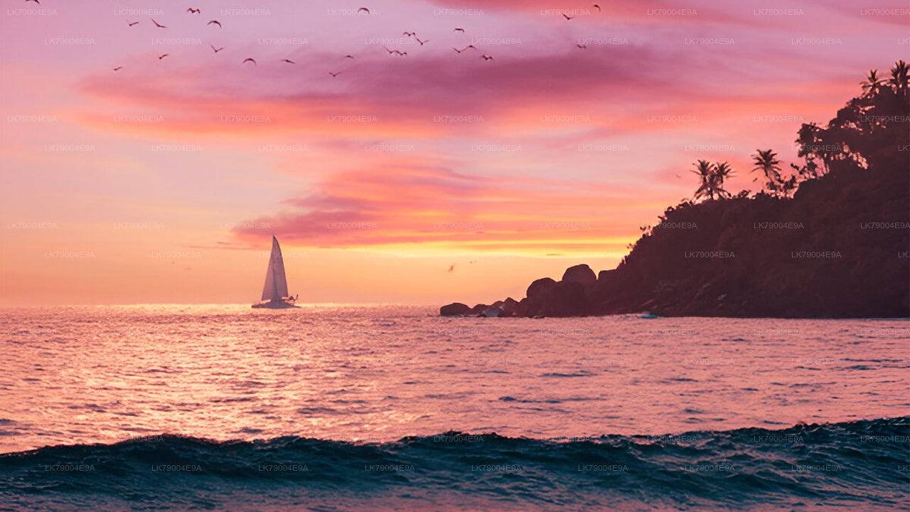 3 timmars delad solnedgångskryssning från Galle