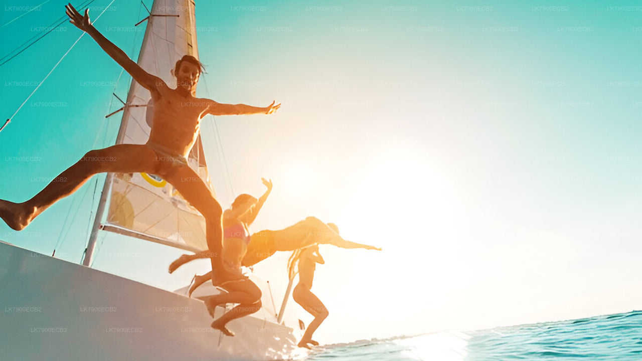 2-nätters kryssningsupplevelse från Mirissa med Ocean Diamond