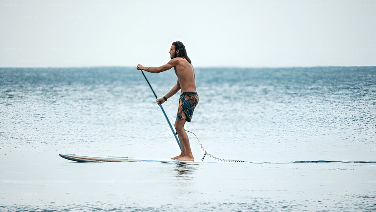 2-nätters kryssningsupplevelse från Mirissa med Ocean Diamond