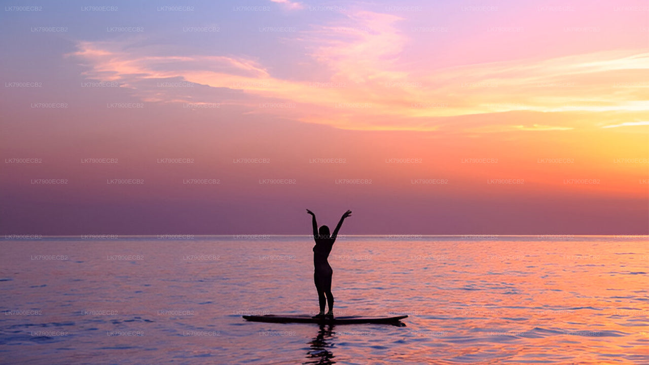 6-nätters kryssningsupplevelse från Mirissa med Ocean Diamond