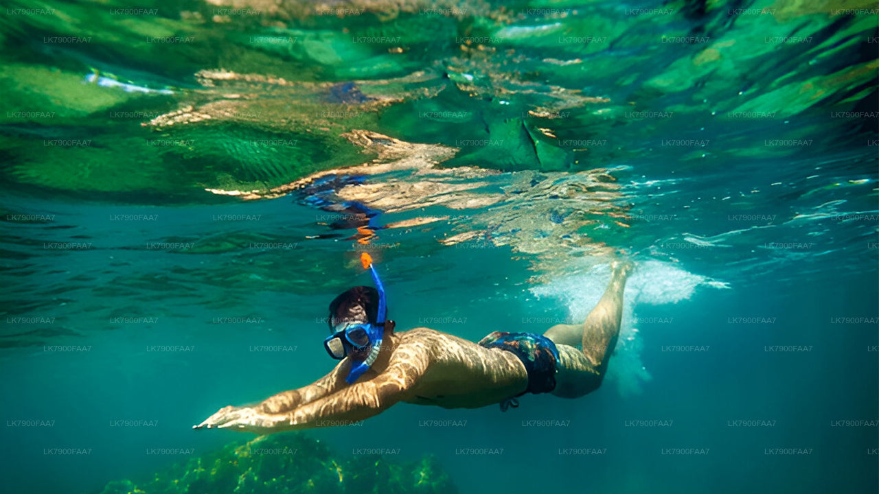 3-timmars solnedgångskryssning från Mirissa