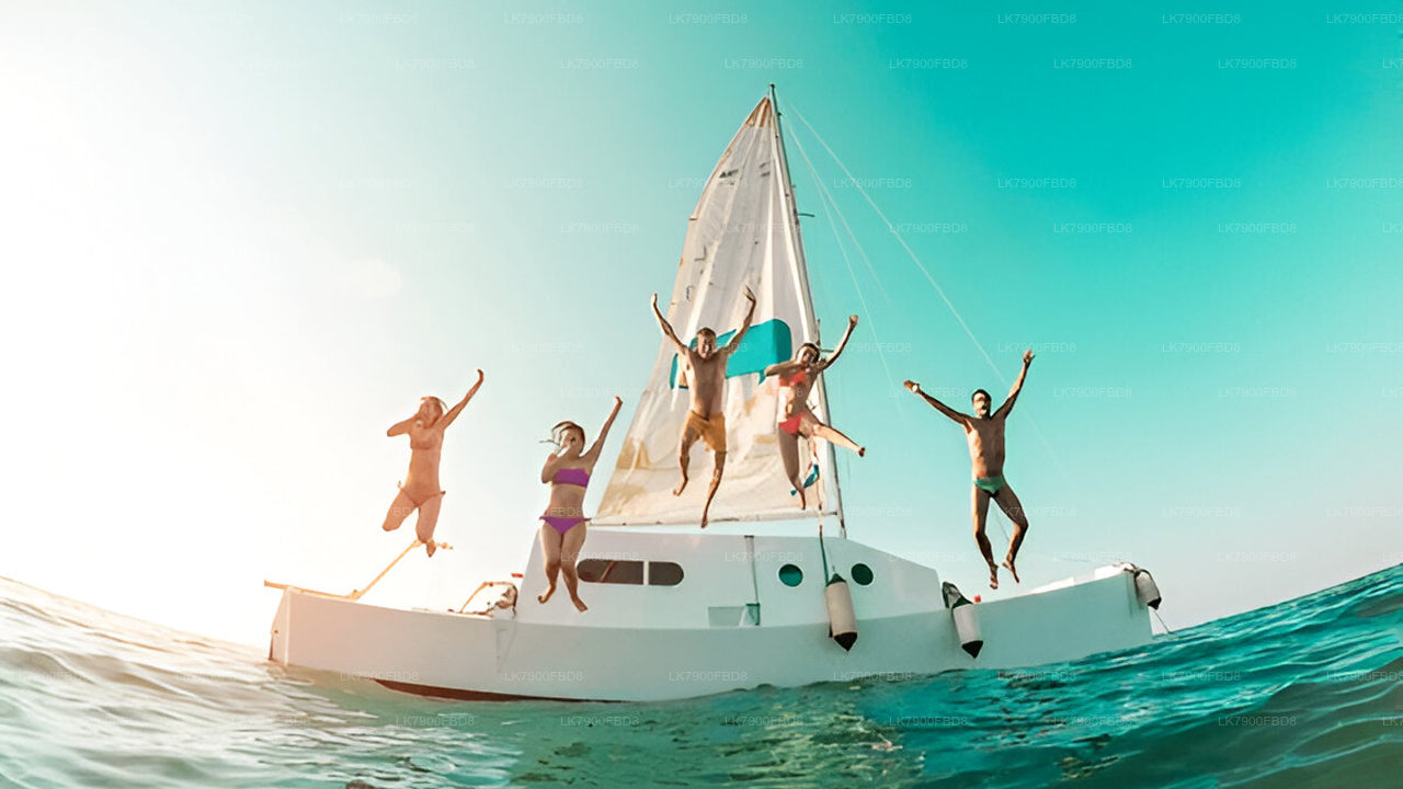 6 nätters kryssningssemester i Mirissa