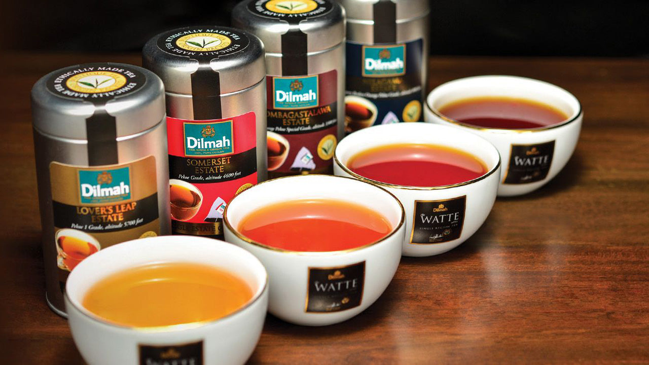 Ceylon teprovning från Colombo