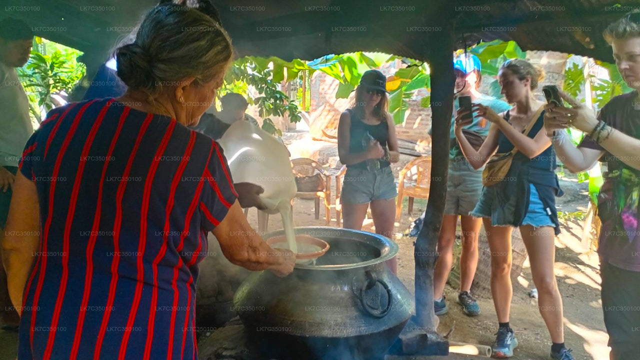 Curd Processing Erfarenhet från Tissamaharama