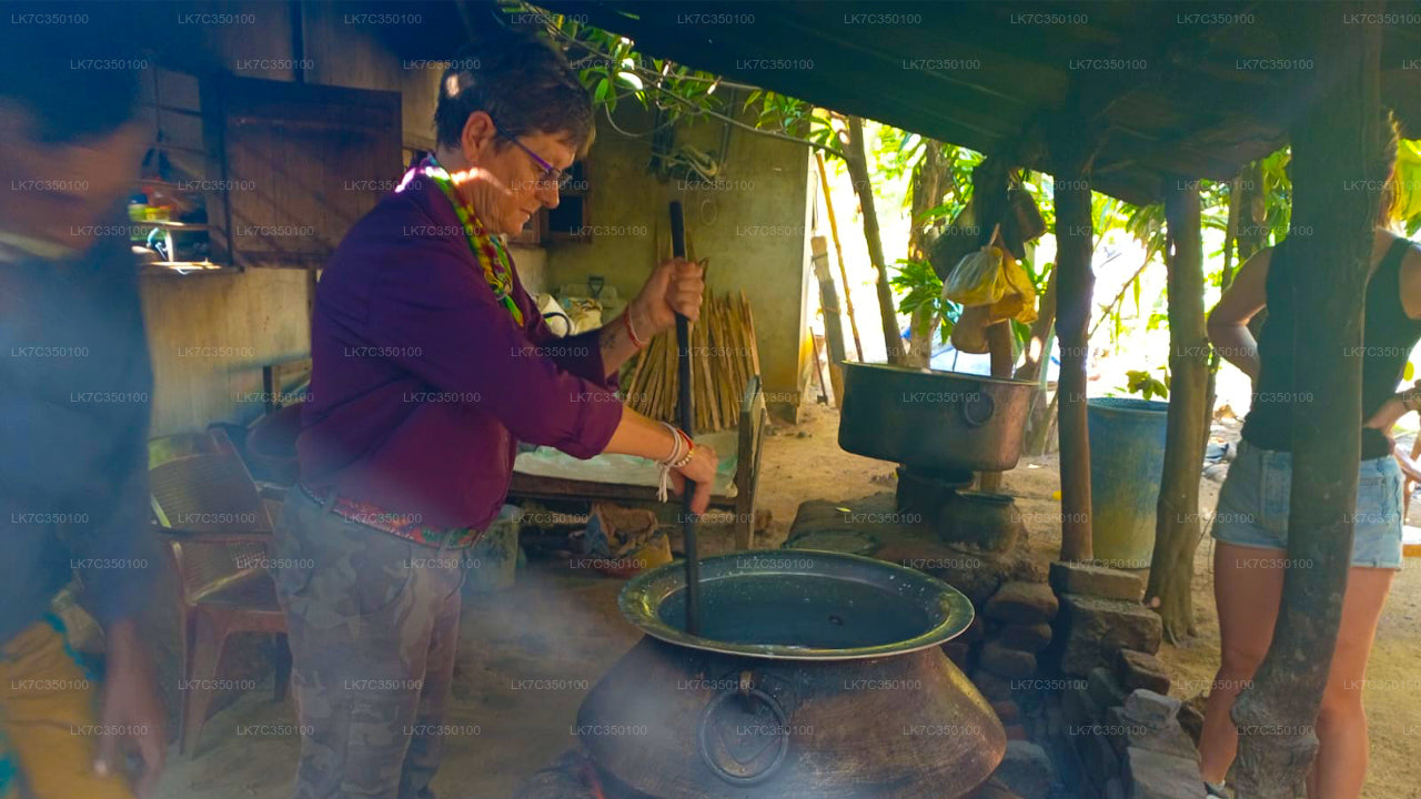 Curd Processing Erfarenhet från Tissamaharama