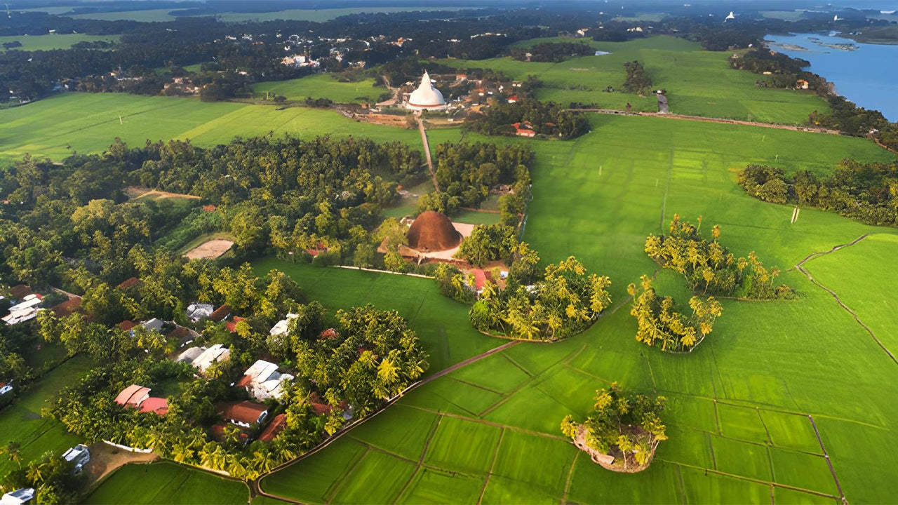 Aerial view of a landscape with green fields, trees, and a prominent white stupa.