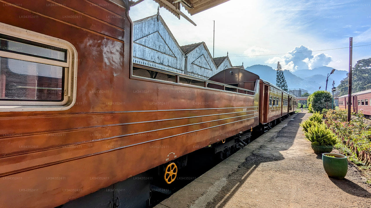 Calypso Tourist Train Ride