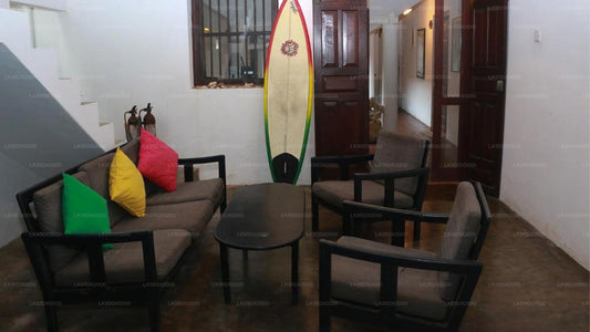 turtles rest & curry bowl, Hikkaduwa