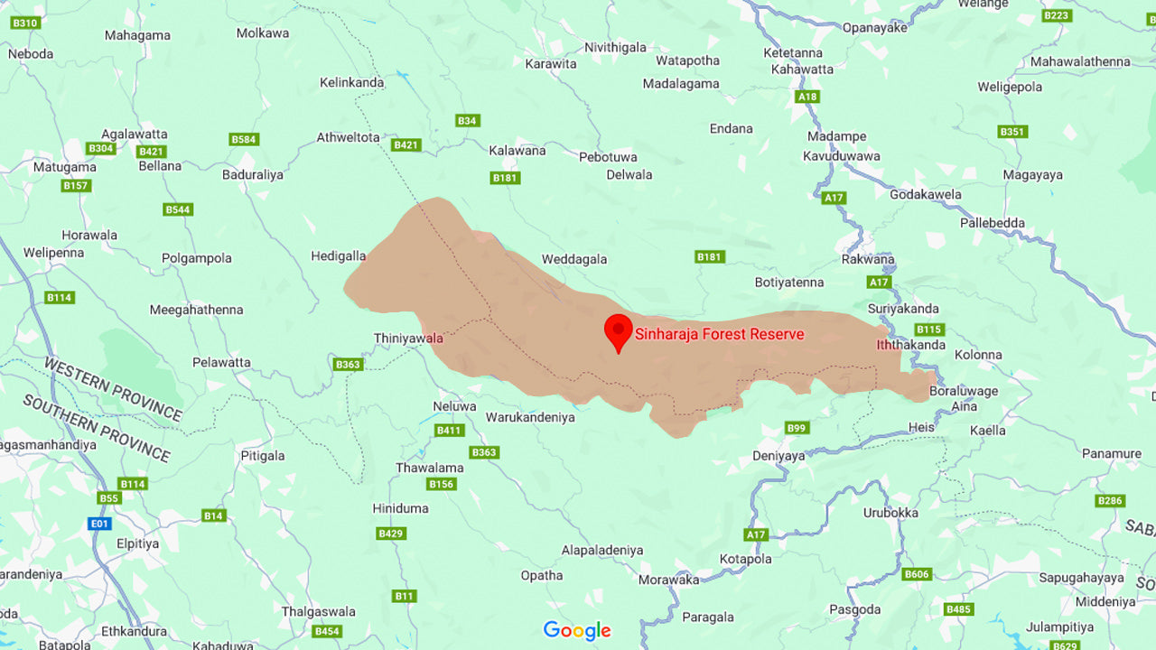 Äventyrstur i Sinharajas regnskog