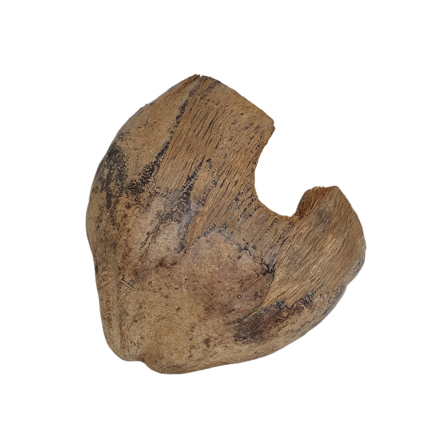 Bivenro Natural 3/4 Kakao-gömställe med skaldesign (fri storlek)