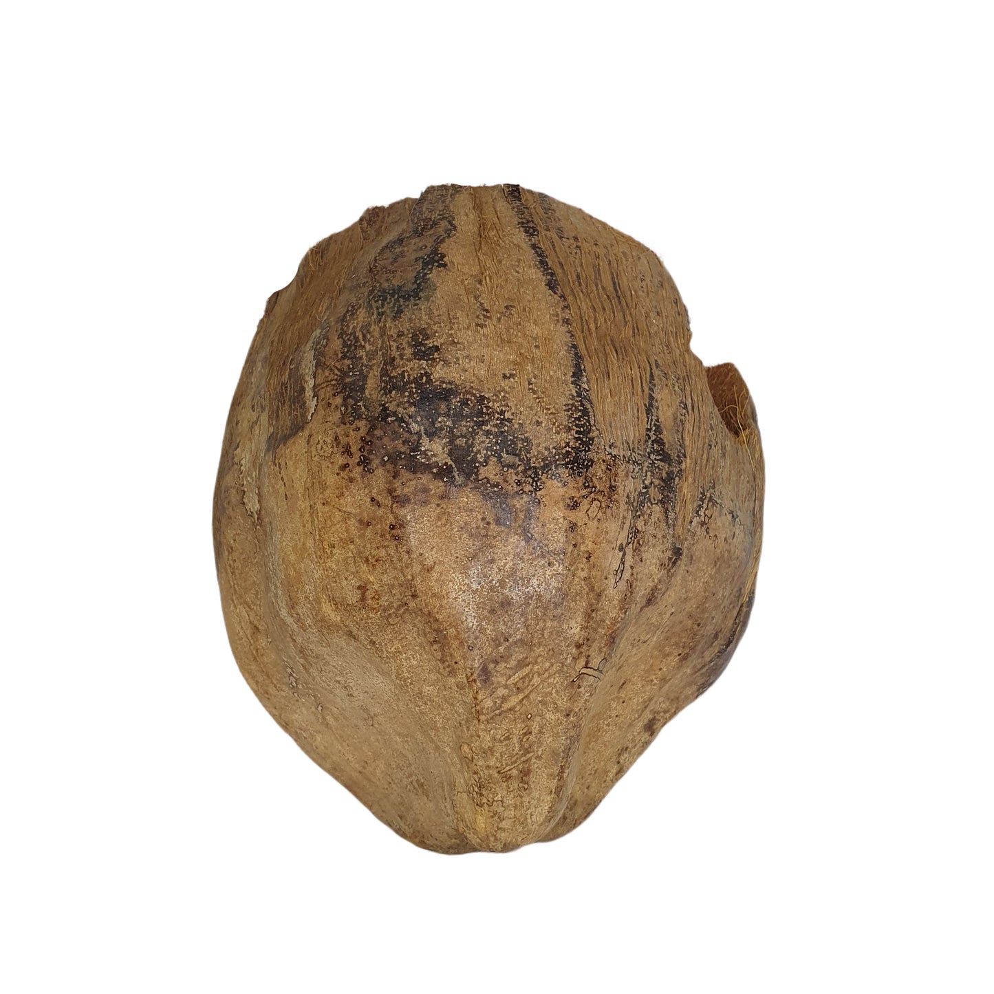 Bivenro Natural 3/4 Kakao-gömställe med skaldesign (fri storlek)