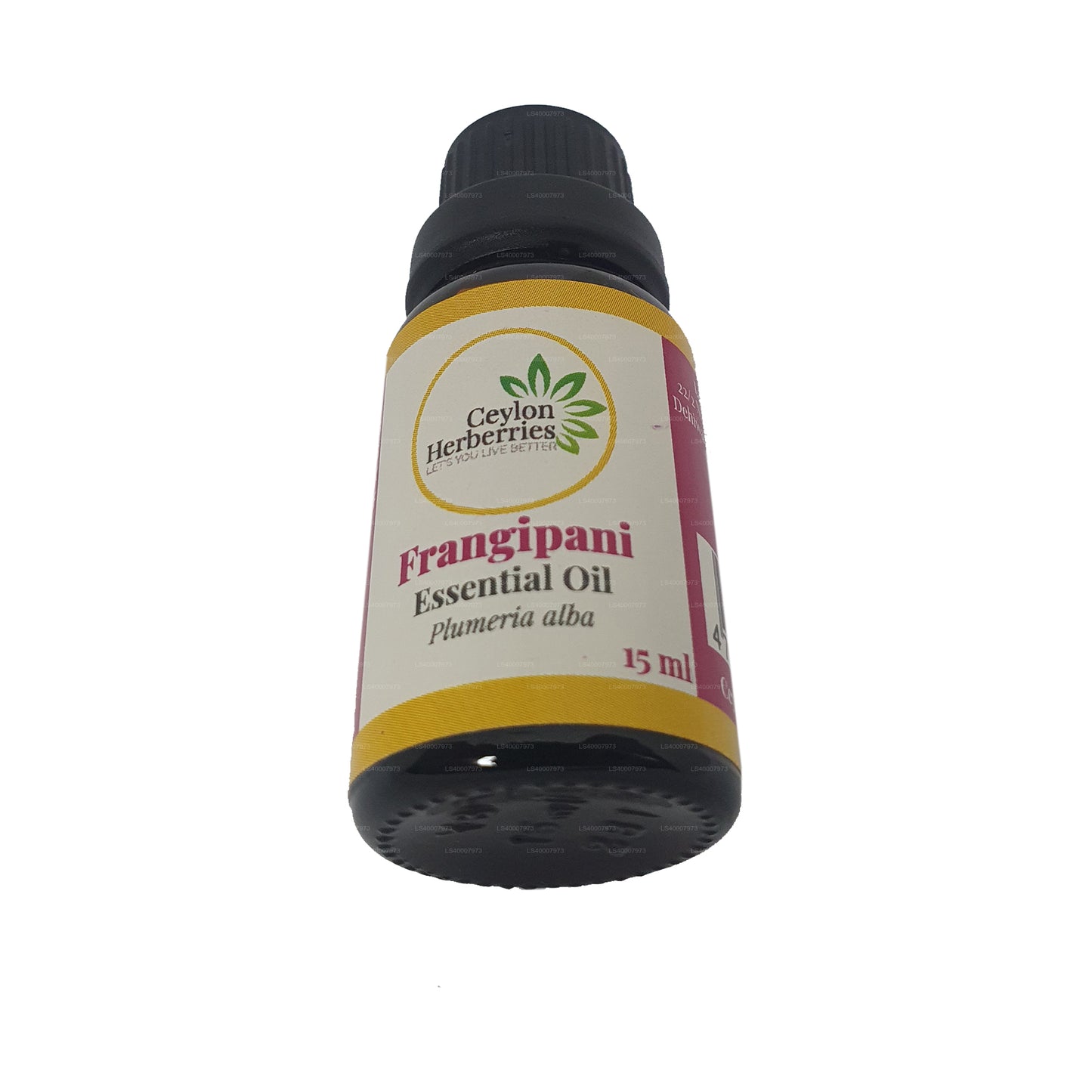 Ceylon Herberries Frangipani eterisk olja (Plumeria alba) 15ml