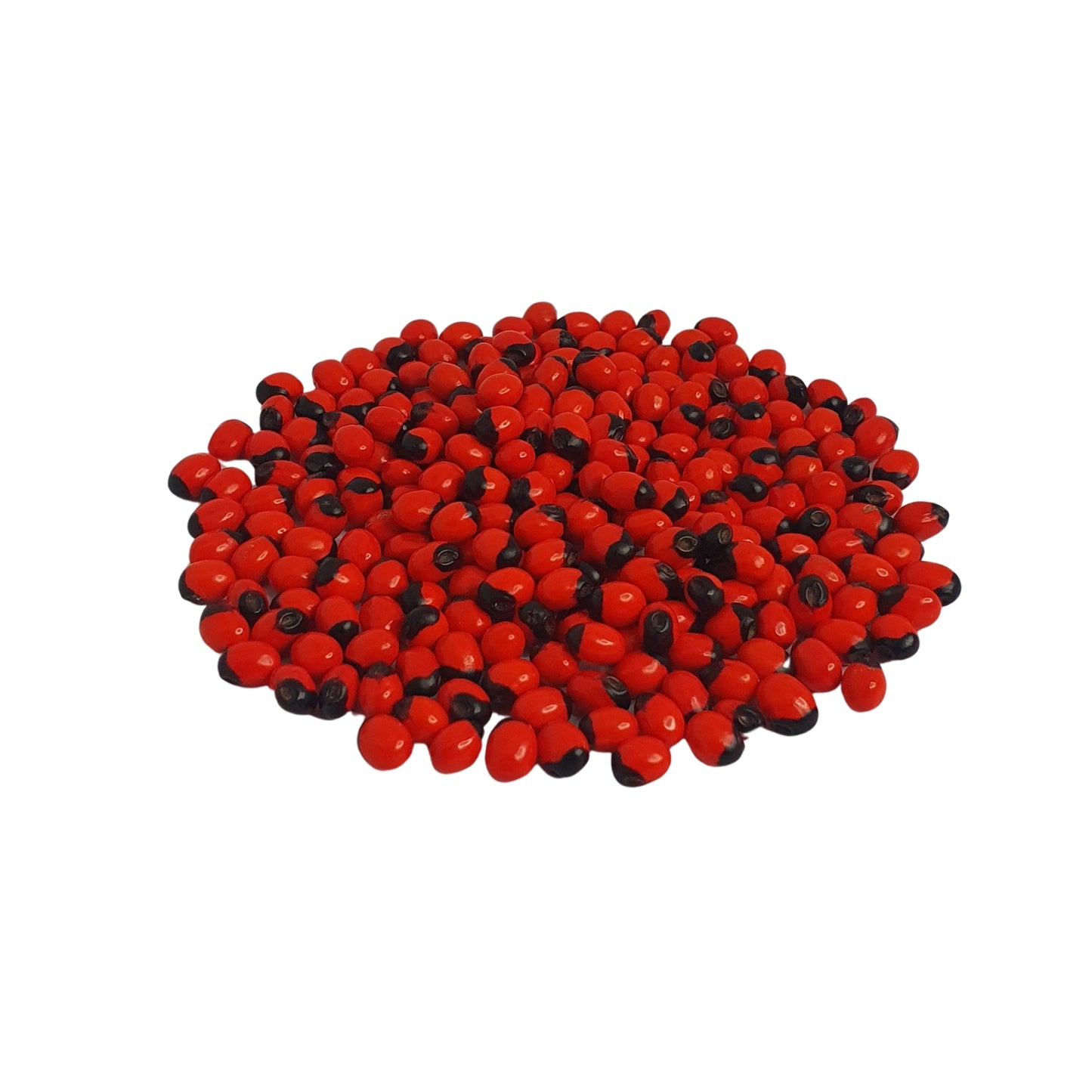 Lakpura® Olinda (marockansk Abrus) frön