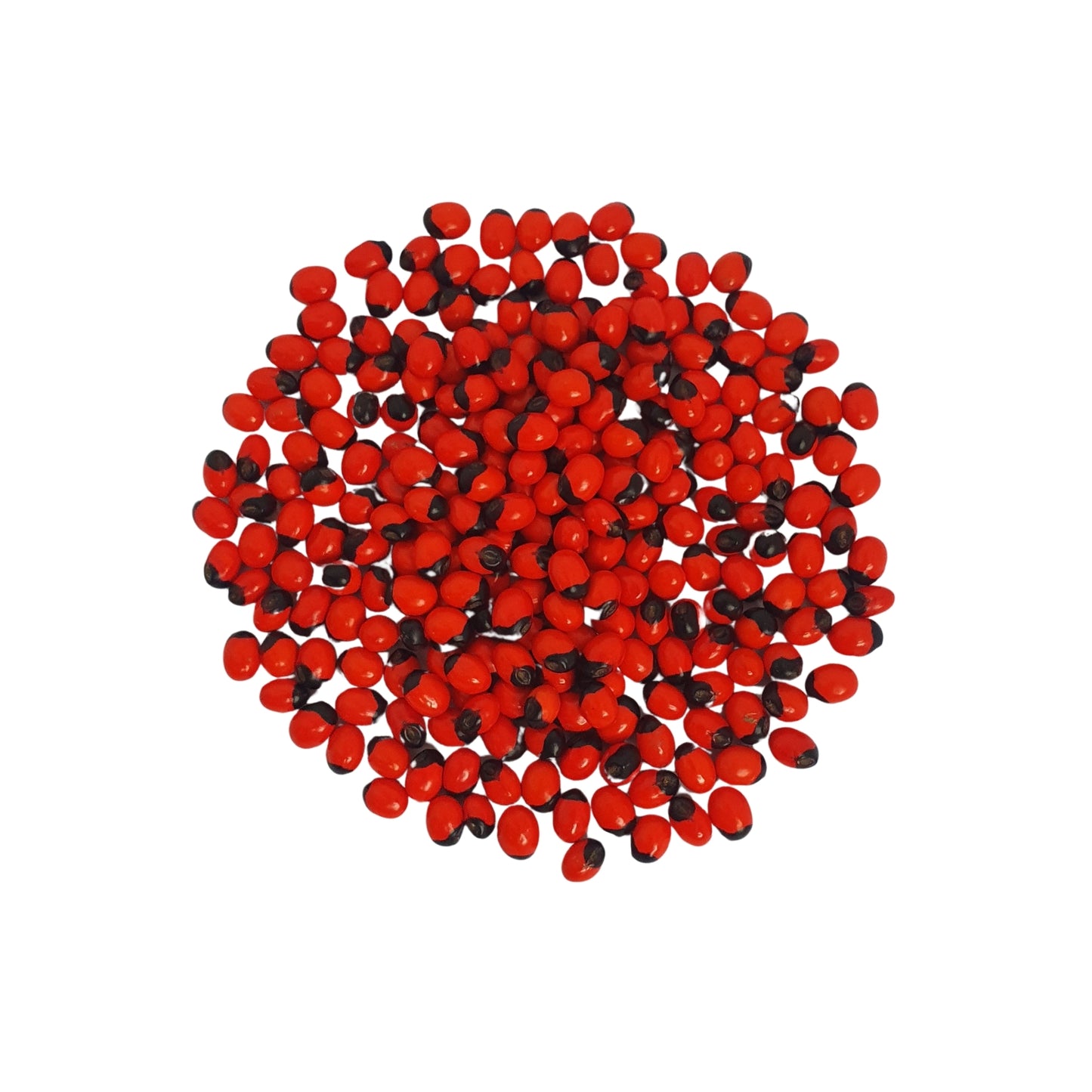 Lakpura® Olinda (marockansk Abrus) frön