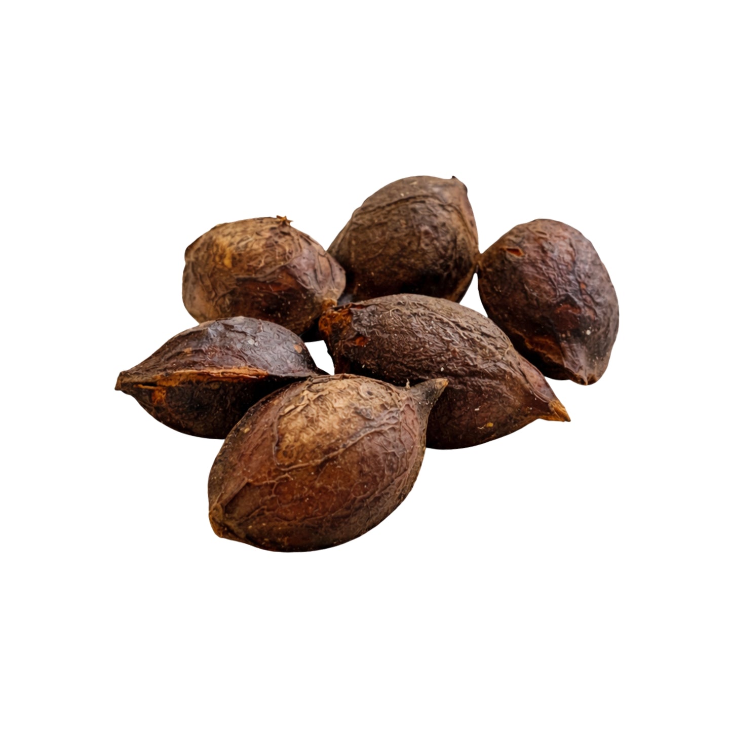 Lakpura® Terminalia Catappa (Kottamba) Helfrö