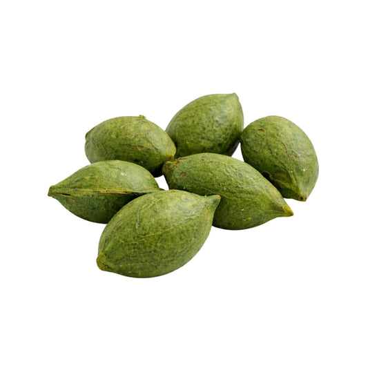 Lakpura® Terminalia Catappa (Kottamba) Helfrö