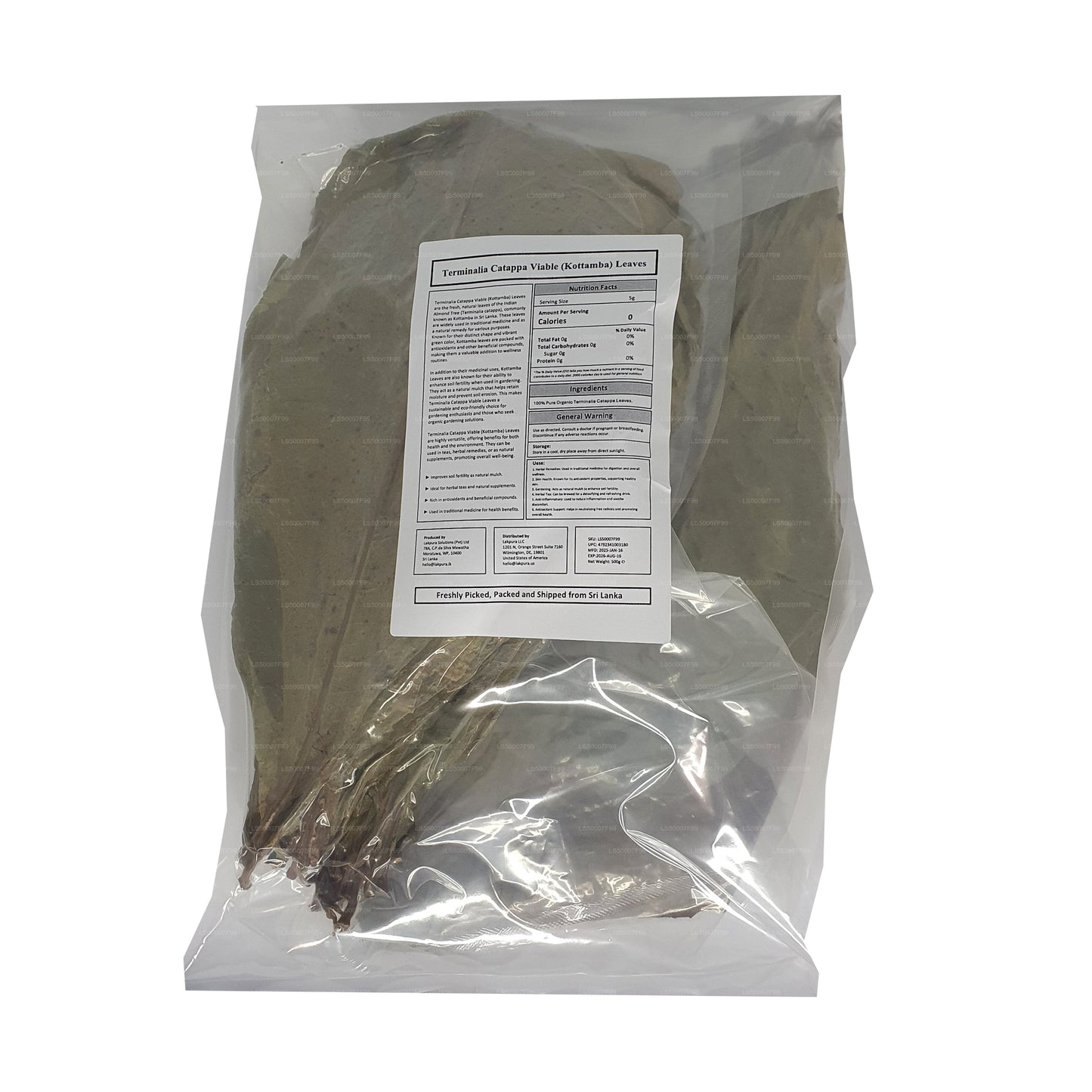 Lakpura Dehydrerad (Kottan, Kottamba, Indisk Mandel) Terminalia catappa 100 Blad (100g)