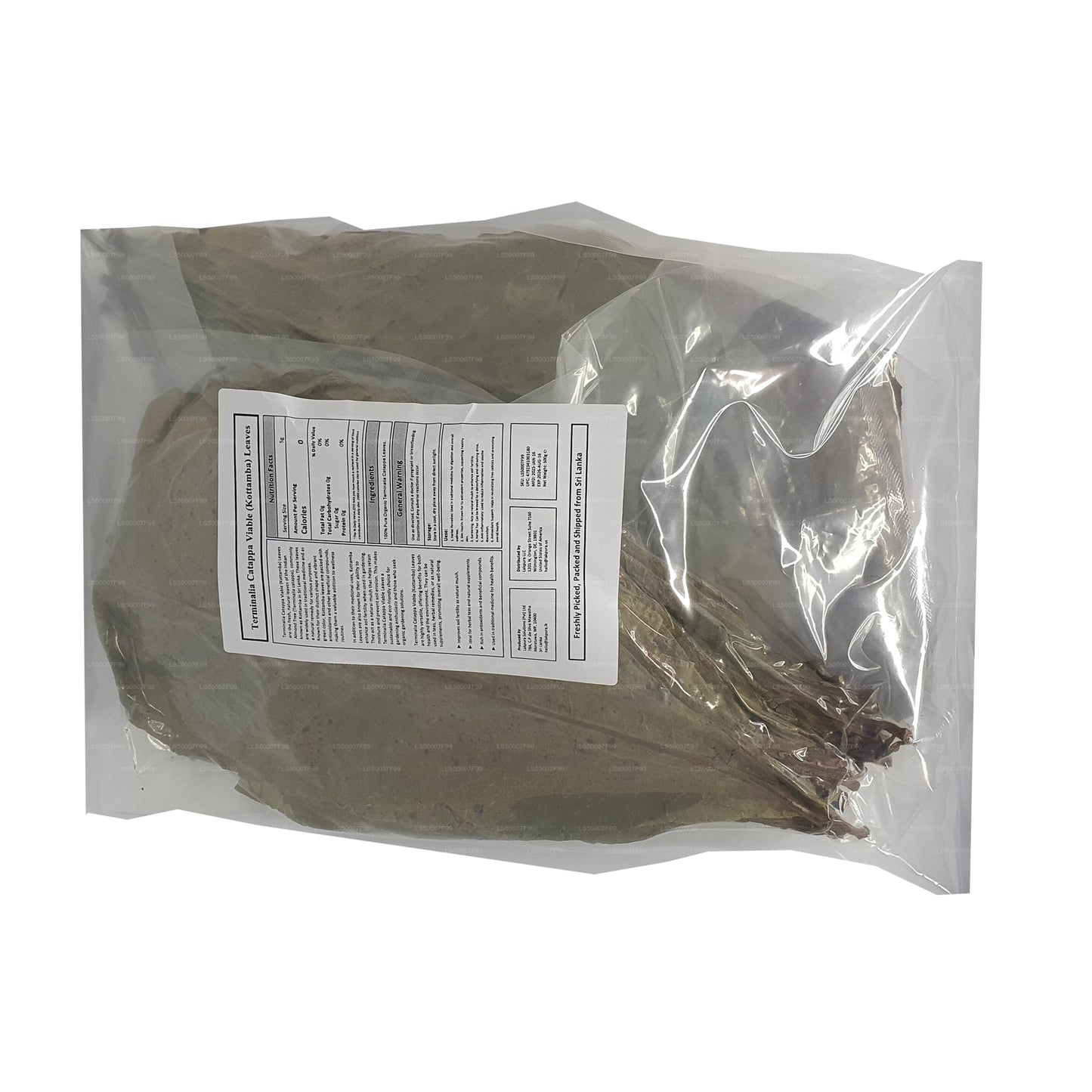 Lakpura Dehydrerad (Kottan, Kottamba, Indisk Mandel) Terminalia catappa 100 Blad (100g)