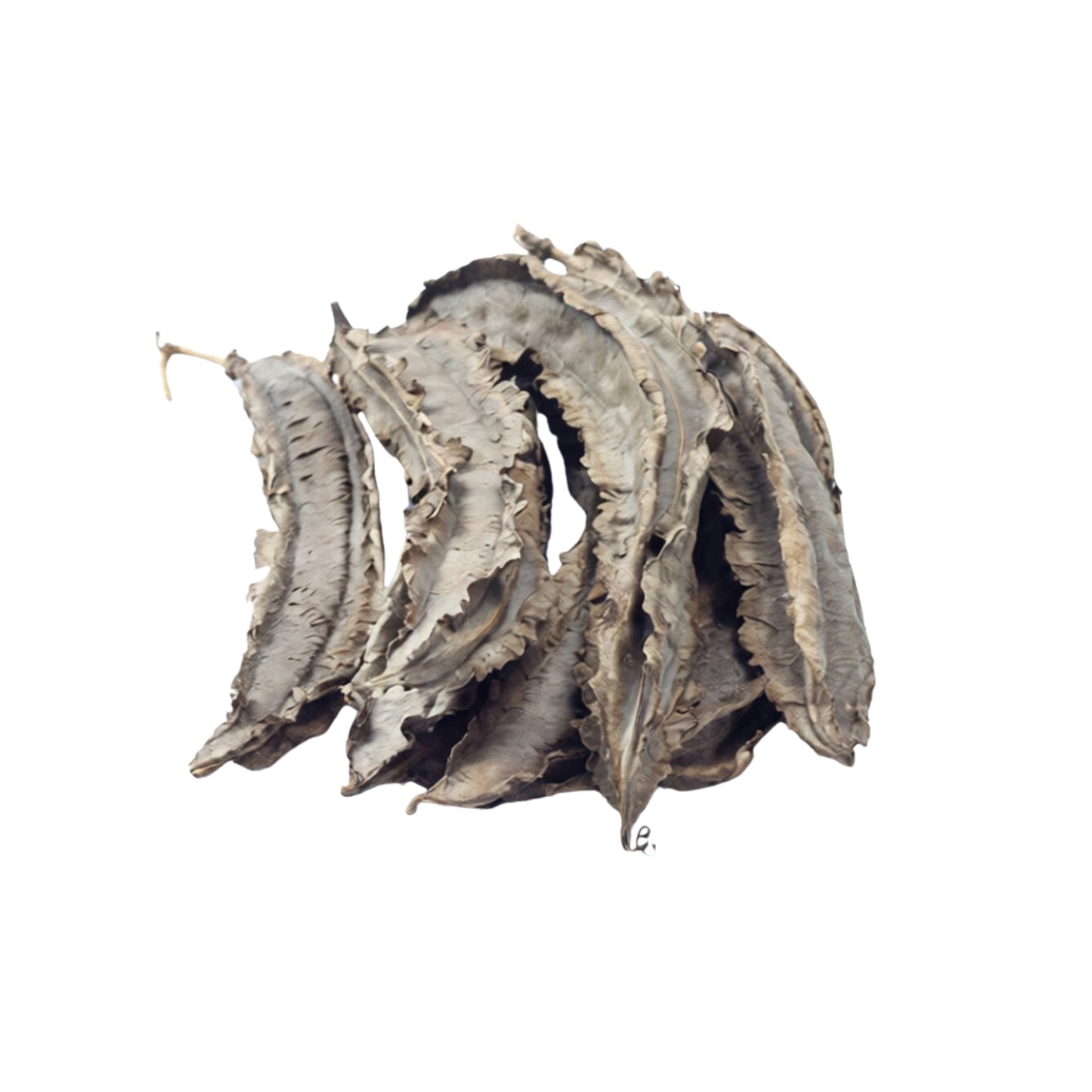 Lakpura® Vingbönor