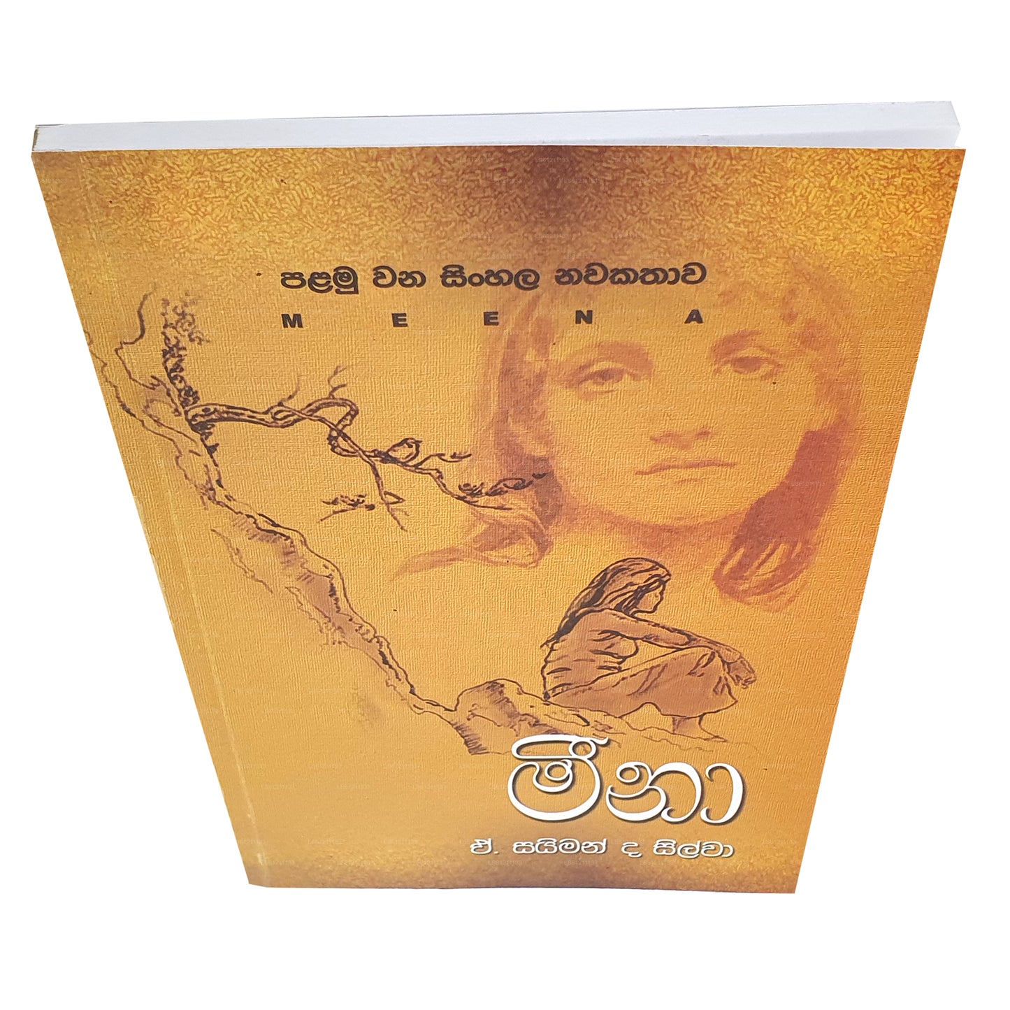 Meena - First Sinhala Novel