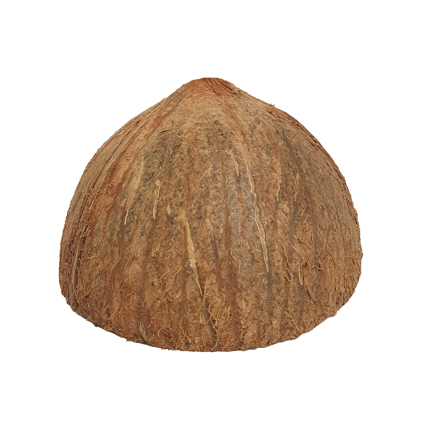 Lakpura® kokosnötskalhalvor