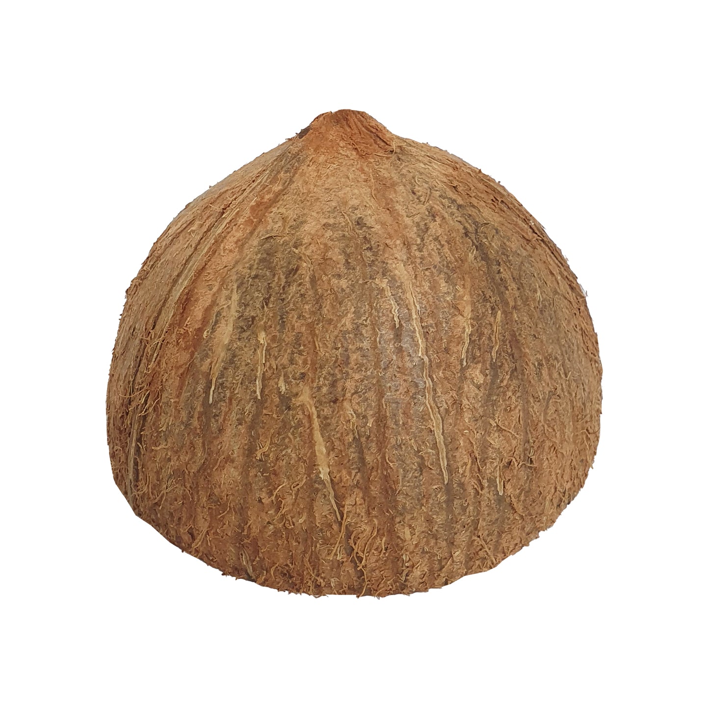 Lakpura® kokosnötskalhalvor