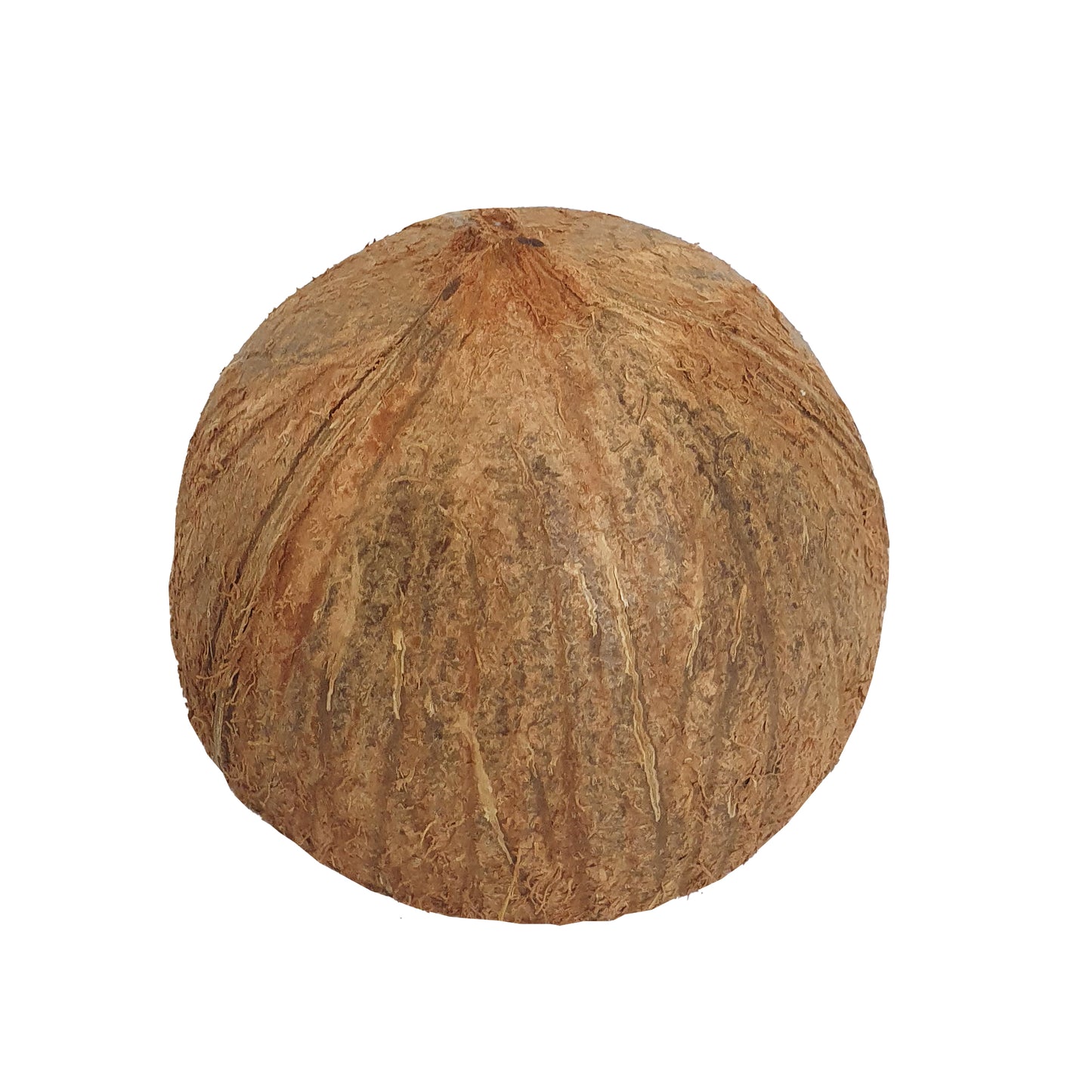 Lakpura® kokosnötskalhalvor