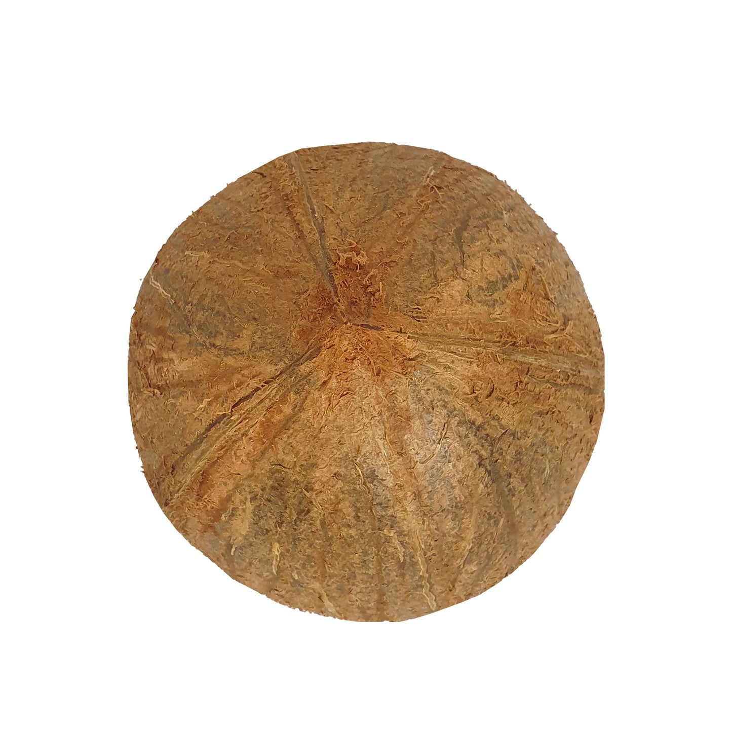 Lakpura® kokosnötskalhalvor