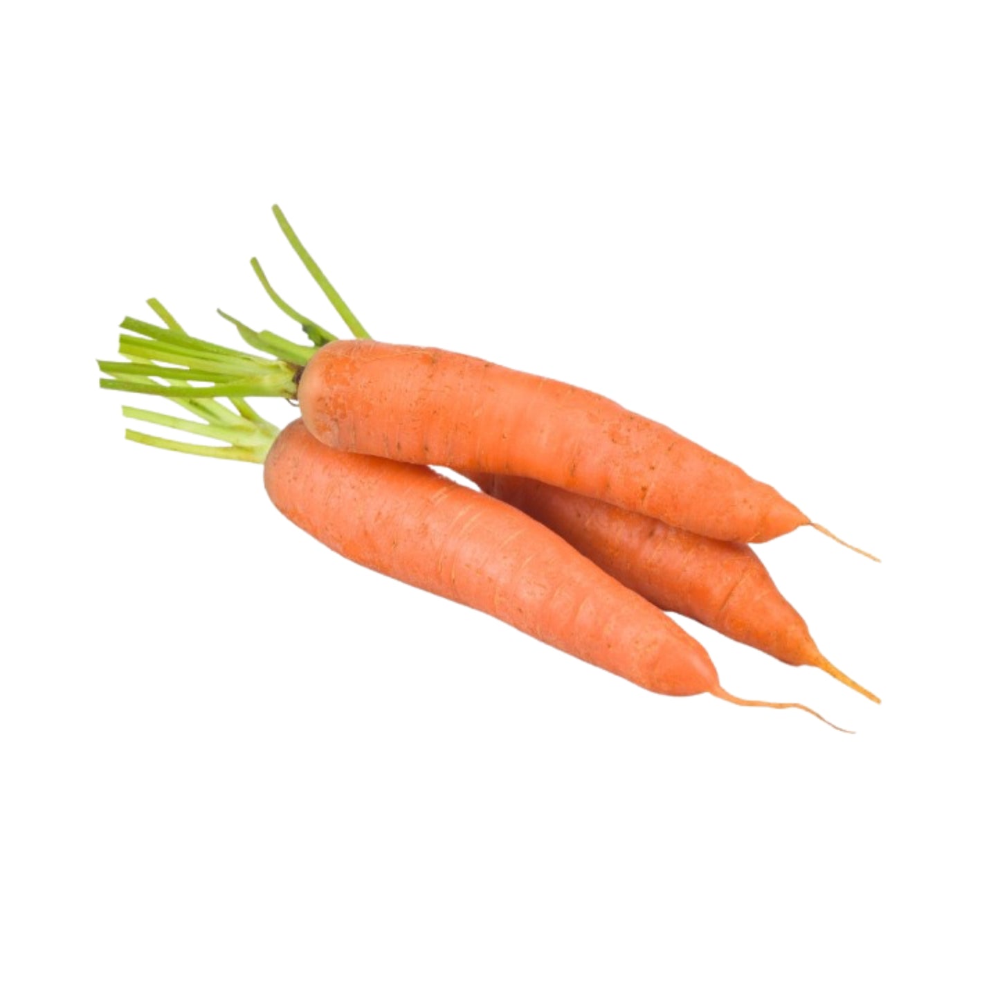 Lakpura® Carrot