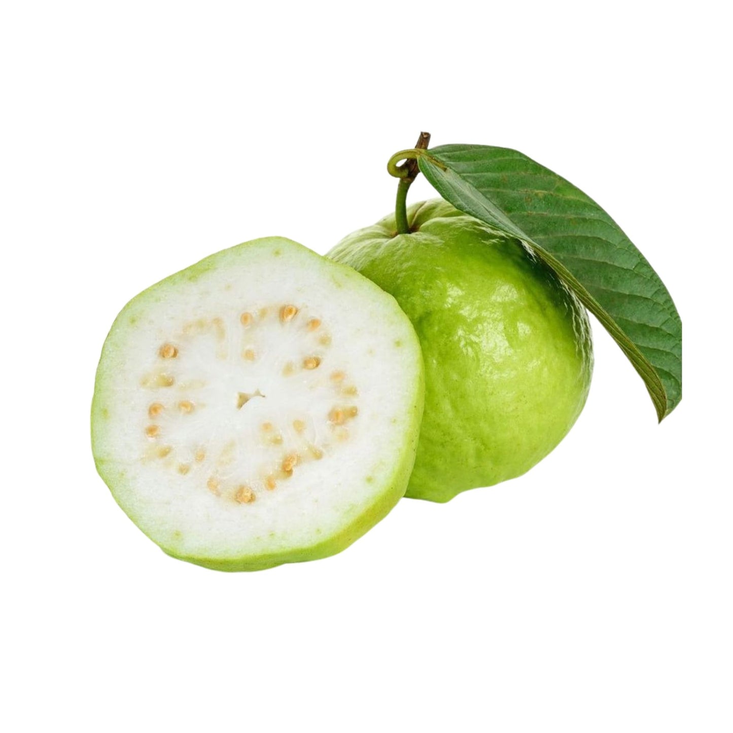 Lakpura Kilo Guava fruktväxt