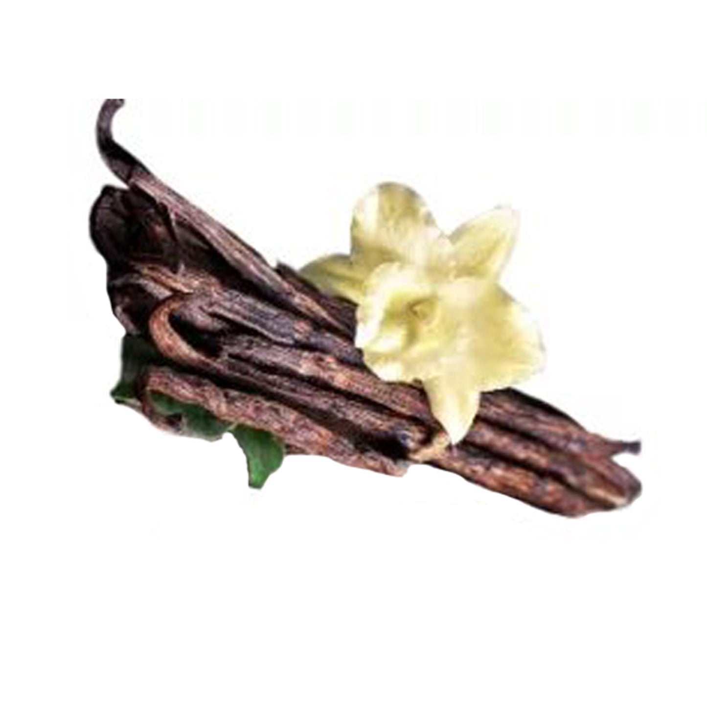 Vanilj () Kryddväxter