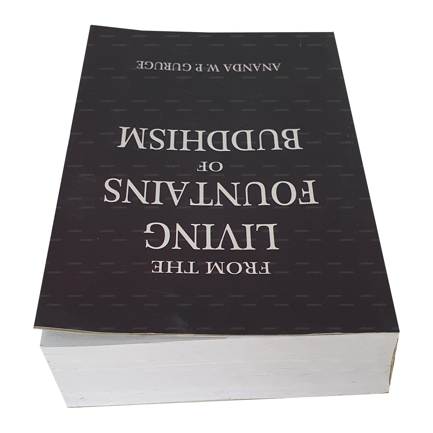 Från Buddhismens levande fontäner